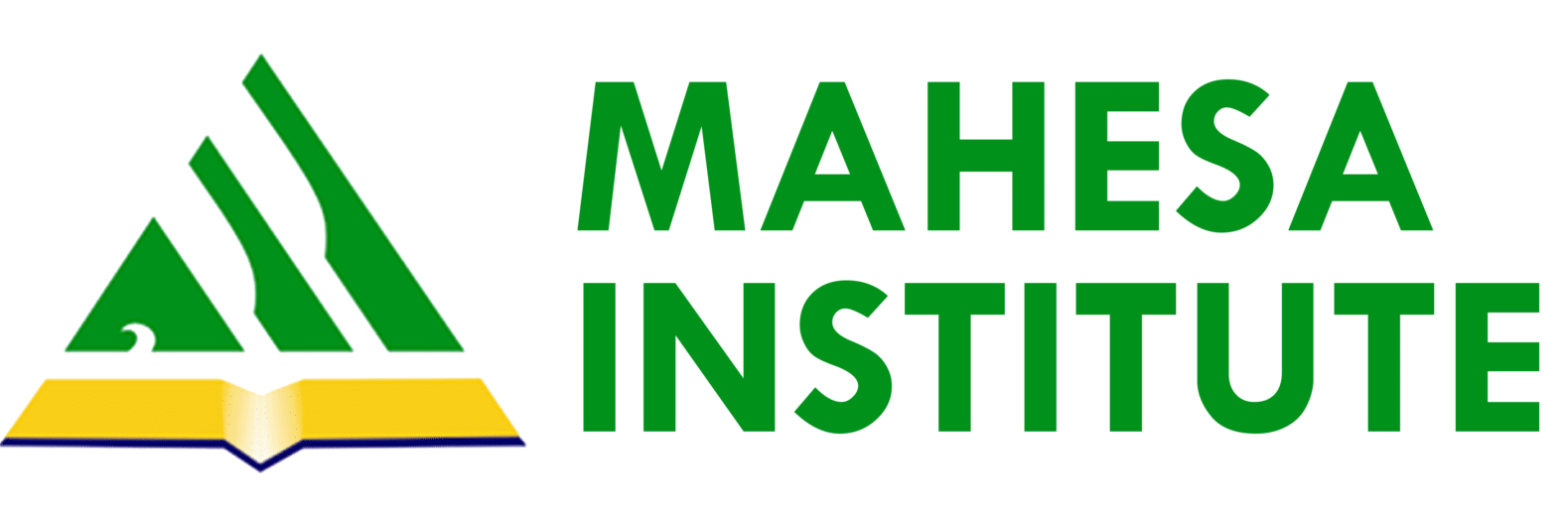 Partner Logo